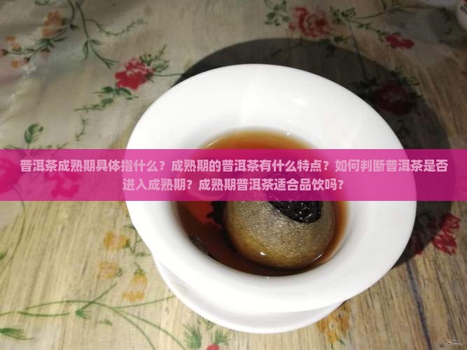 普洱茶成熟期怎么样