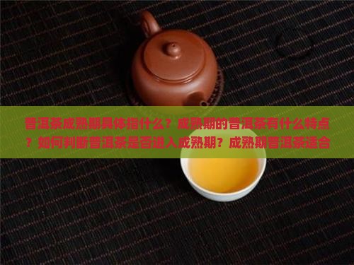普洱茶成熟期怎么样
