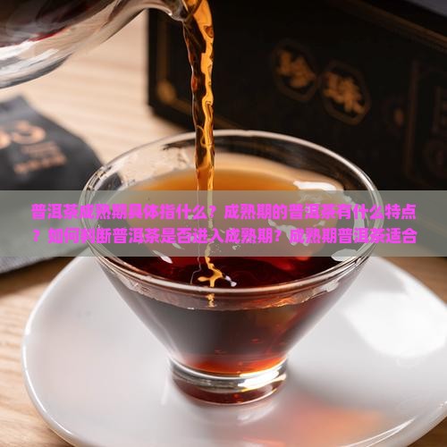 普洱茶成熟期怎么样