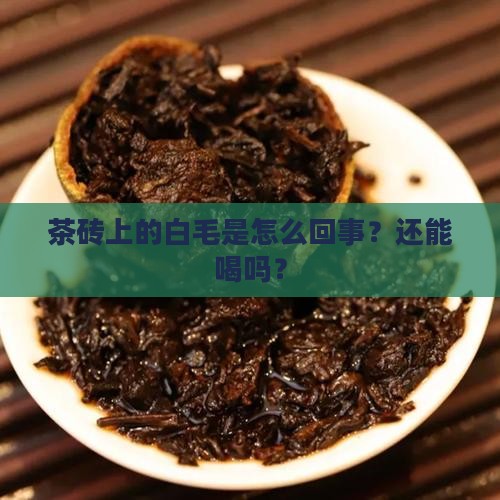 熟普茶砖长白毛怎么办