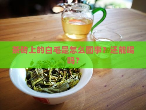 熟普茶砖长白毛怎么办