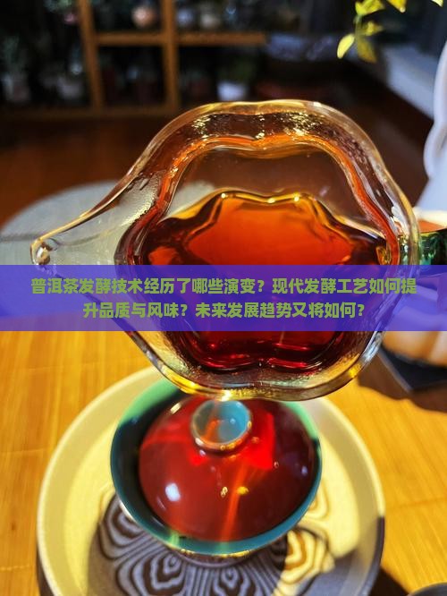 普洱茶发酵技术回顾