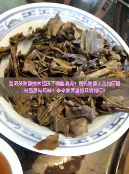 普洱茶发酵技术回顾