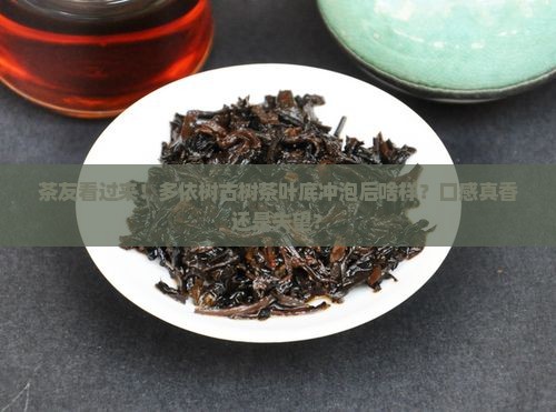 多依树古树茶叶底