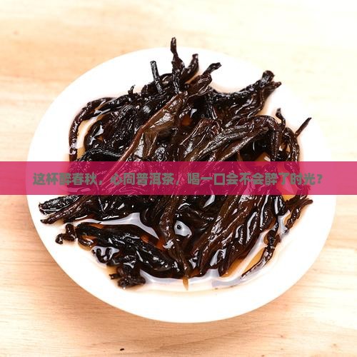 醉春秋心同普洱茶