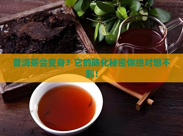 普洱茶陈化的转化方式是什么