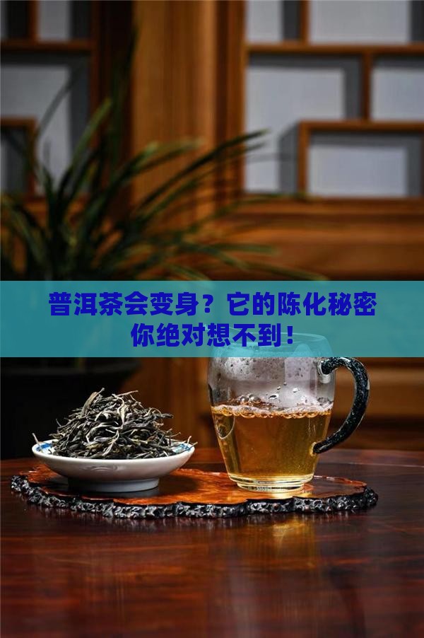 普洱茶陈化的转化方式是什么