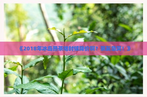 冰岛熟茶价格2018