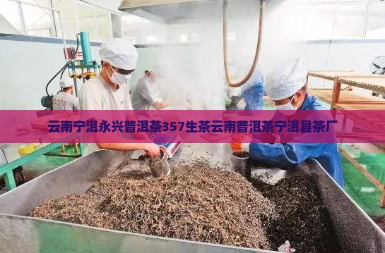 云南宁洱永兴普洱茶