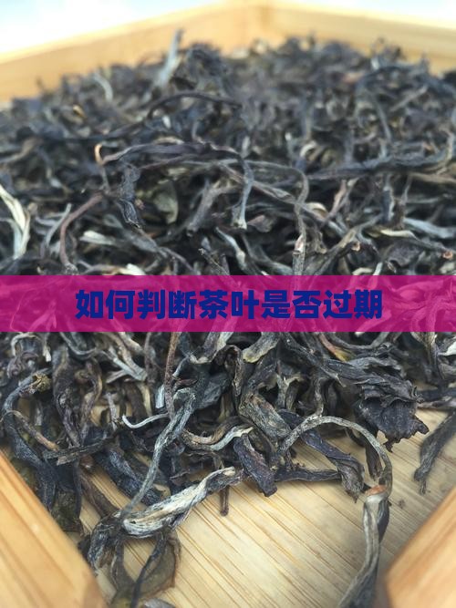 怎样看茶叶过期没有茶叶过期不