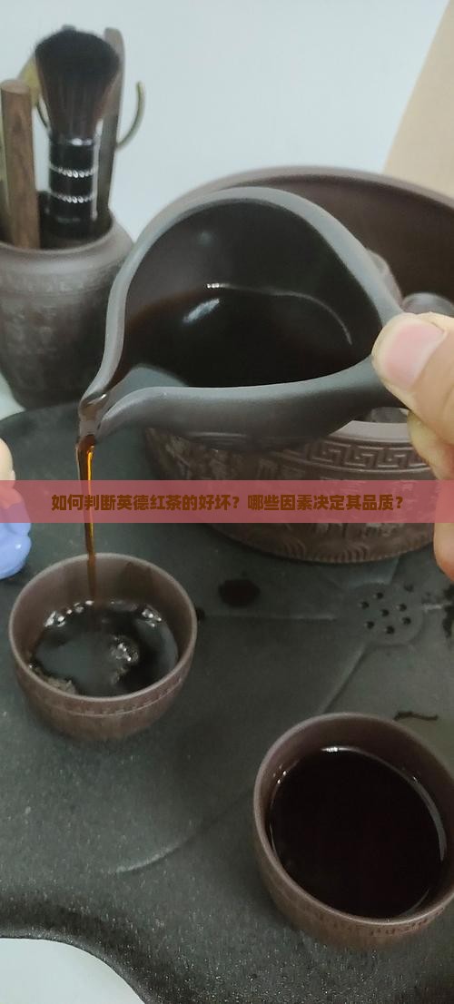 英德红茶怎么分辨好坏