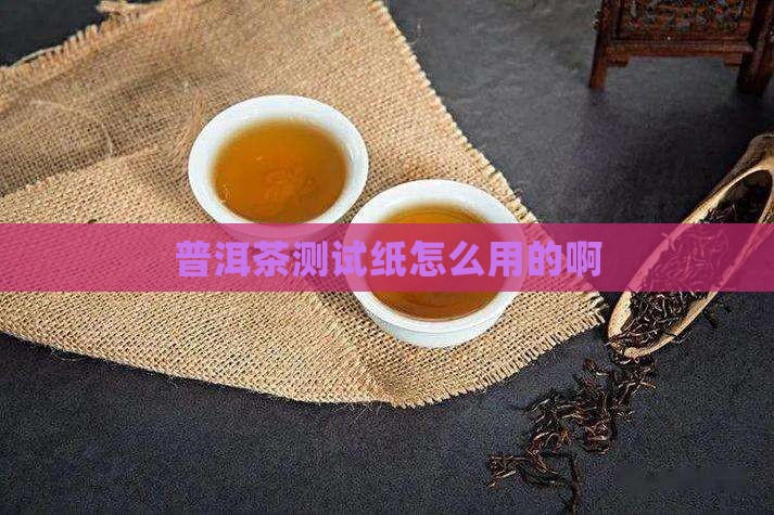 普洱茶测试纸怎么用的