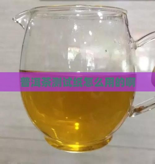 普洱茶测试纸怎么用的