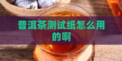 普洱茶测试纸怎么用的