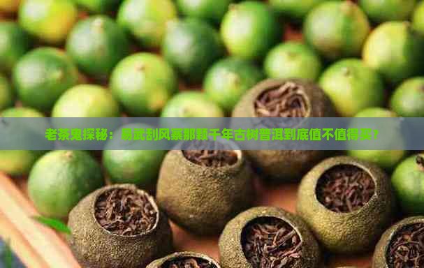 易武刮风寨千年普洱茶