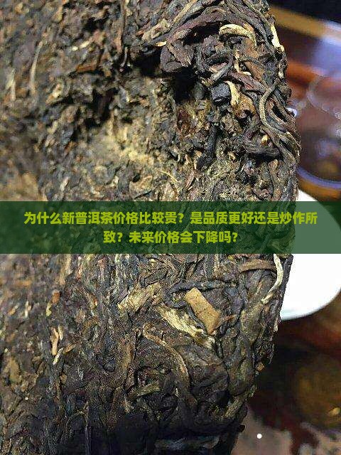 为什么新普洱茶价格比较贵