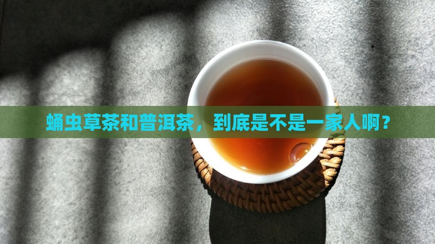 蛹虫草茶是普洱茶吗