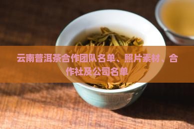 云南普洱茶合作