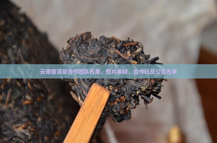 云南普洱茶合作