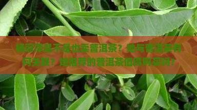 杨丽萍是不是也卖普洱茶