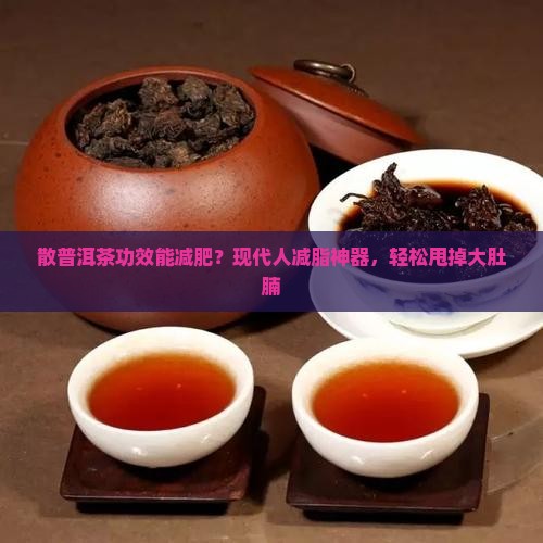 散普洱茶功效能减肥