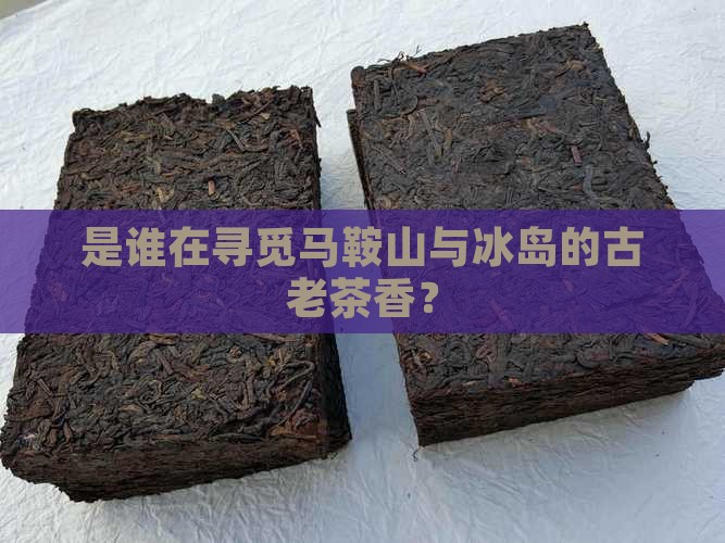 马鞍山古树茶冰岛古树茶
