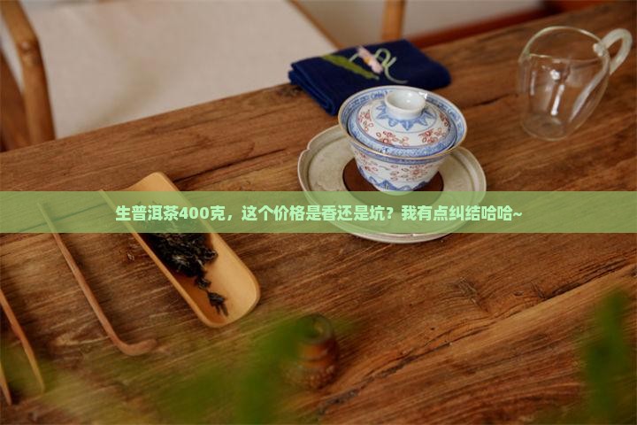 生普洱茶400克价格
