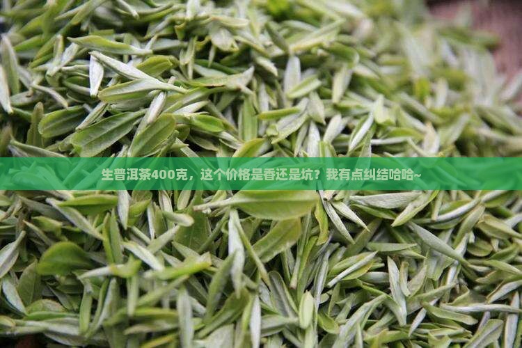 生普洱茶400克价格
