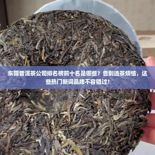 东莞普洱茶公司排名榜前十名