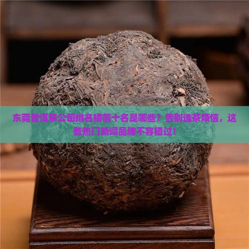 东莞普洱茶公司排名榜前十名