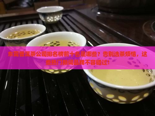 东莞普洱茶公司排名榜前十名