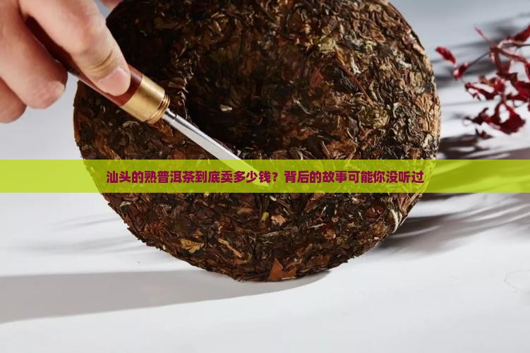 汕头熟普洱茶多少钱