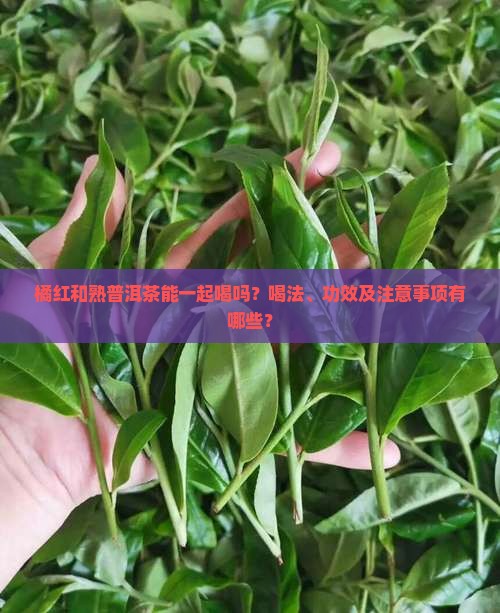橘红和熟普洱茶