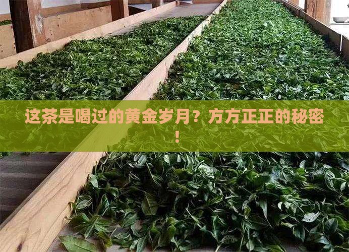 黄金岁月普洱茶方茶