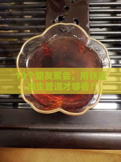 铁壶生普洱茶泡才好喝