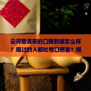 云河普洱茶的口碑