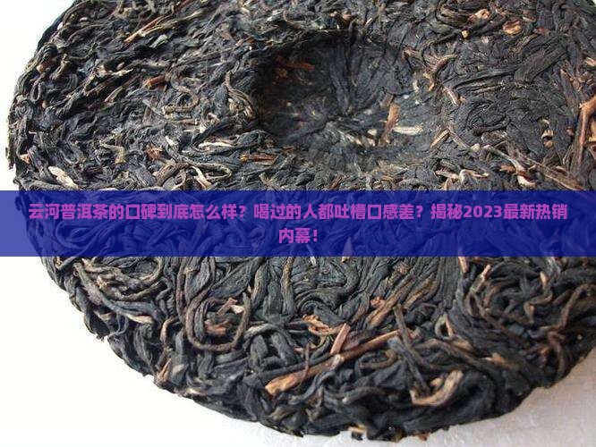 云河普洱茶的口碑