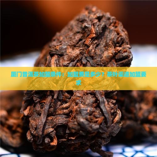 厦门普洱茶渠道加盟条件