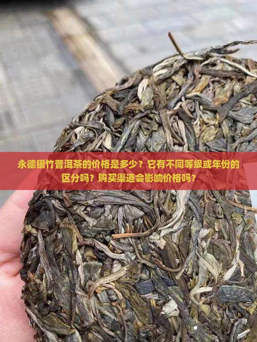 永德银竹普洱茶价格多少