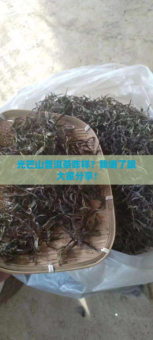 光芒山普洱茶自己体验