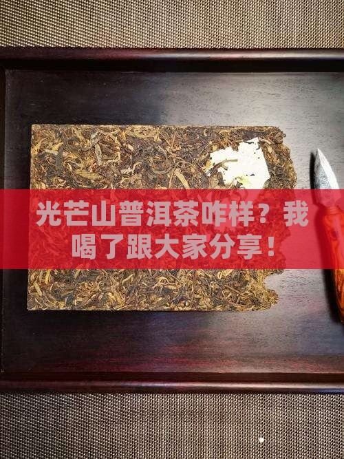 光芒山普洱茶自己体验