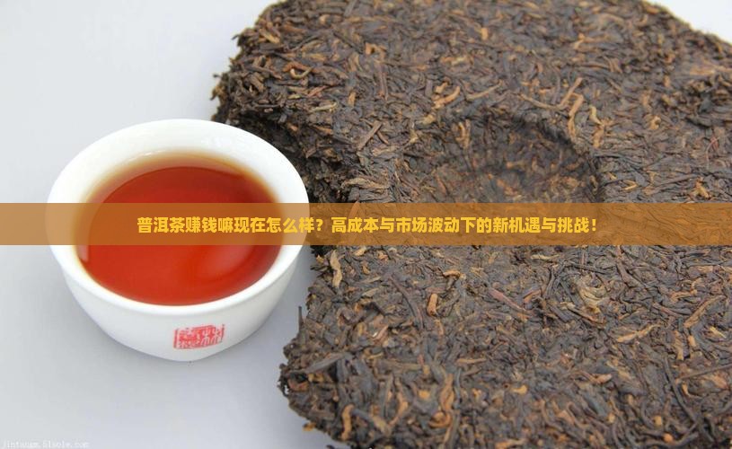 普洱茶赚钱嘛现在怎么样