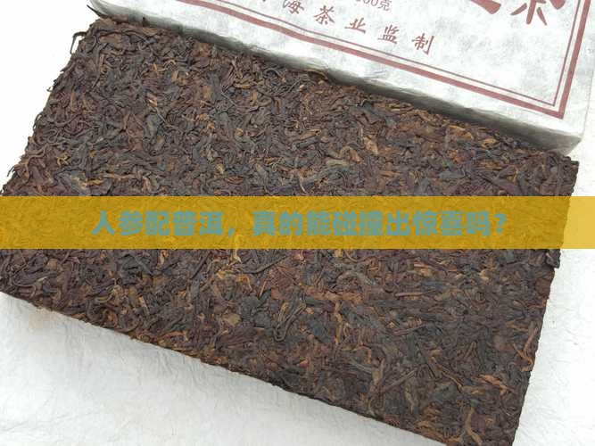 人参与普洱茶能一起吗