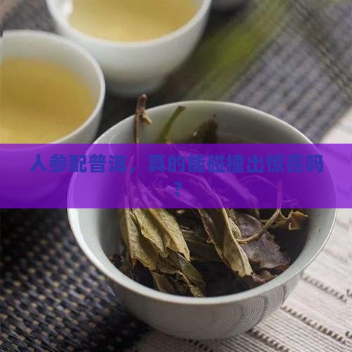 人参与普洱茶能一起吗
