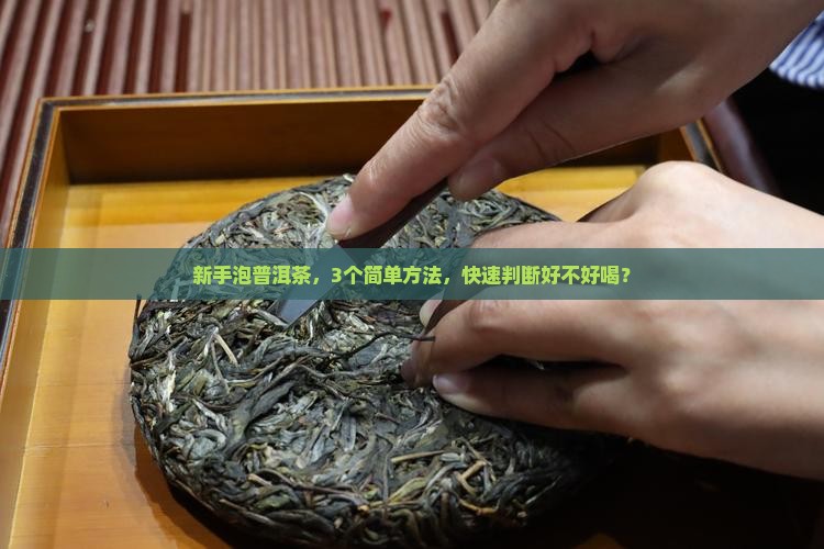 怎么判断普洱茶好不好泡