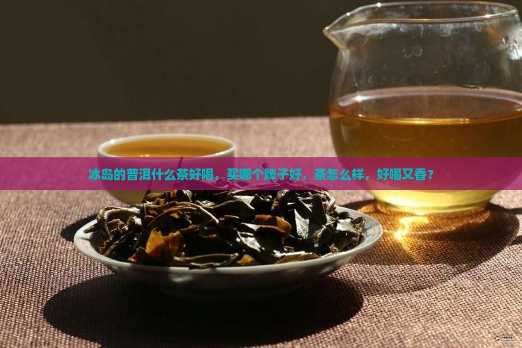 冰岛的普洱什么茶好喝