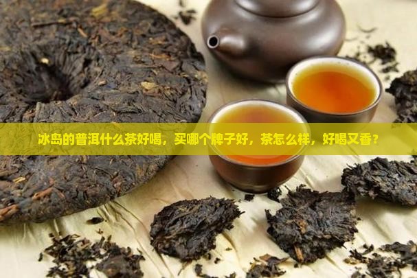 冰岛的普洱什么茶好喝