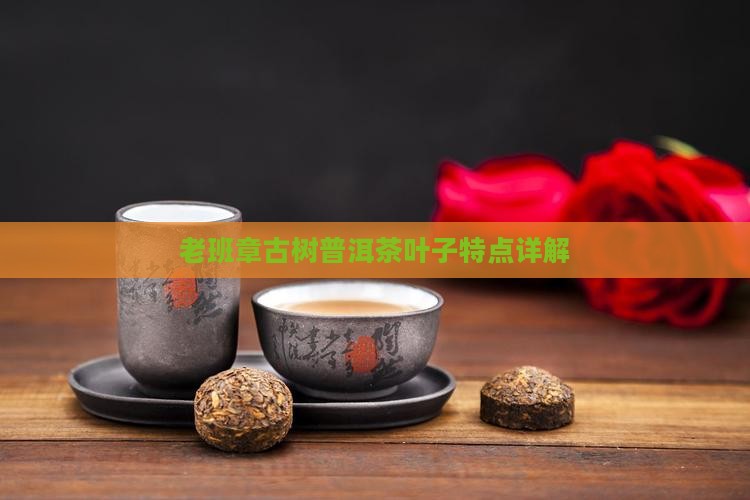 老班章古树茶叶子特点