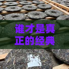 经典普洱茶大师