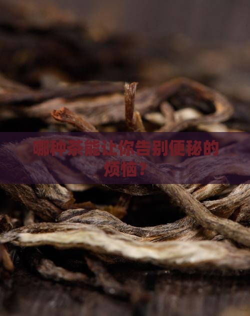 什么茶叶能治便秘